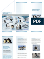 Pinguinos Triptico