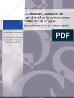 La Estructura y Naturaleza Del Capital Social en Las Aglomeraciones BBVA PDF