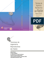 Mousespanish PDF