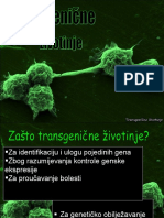 Transgenične Životinje