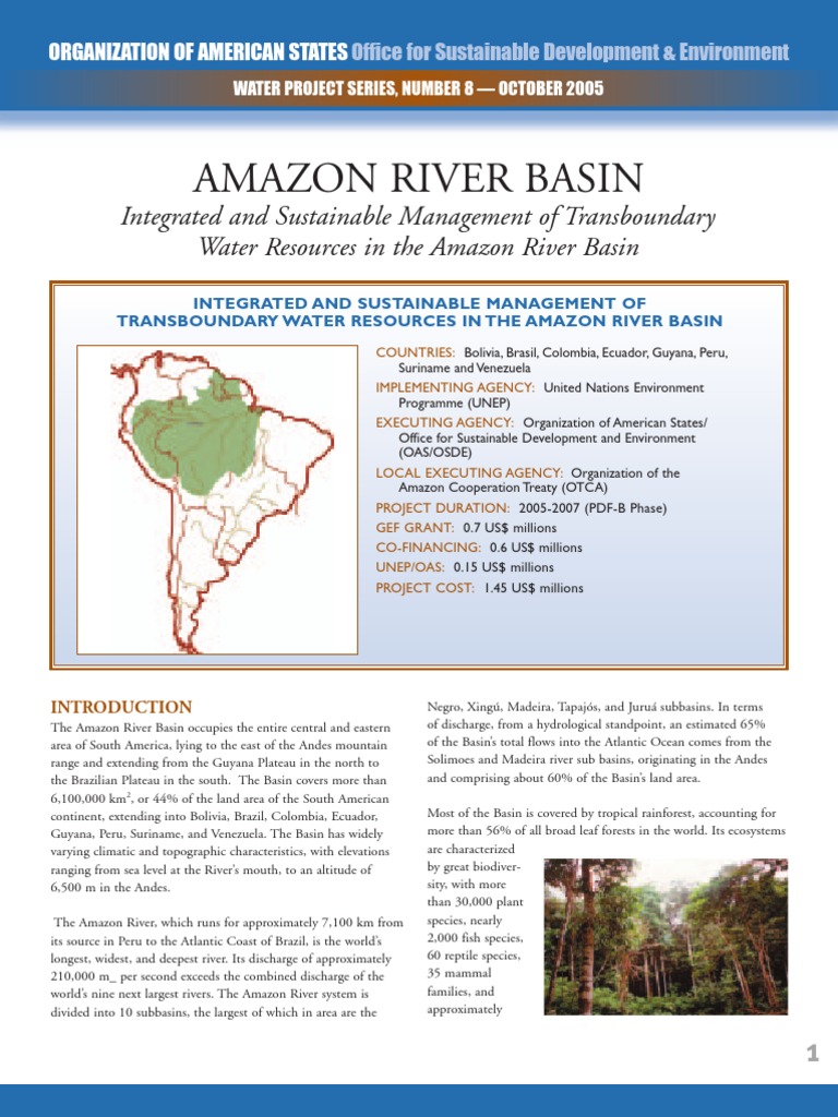 Amazon River Basin Human Impact On The Environment Sustainability