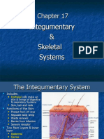 Integumentary & Skeletal Systems