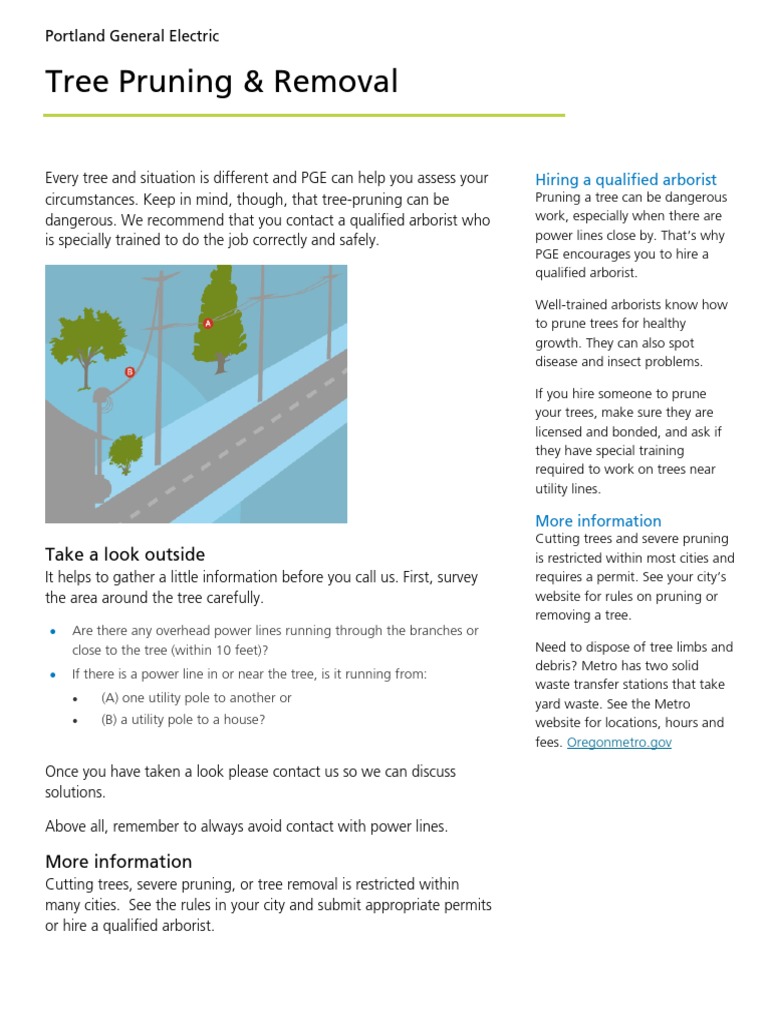 Tree Maintenance Near Power Lines | PDF | Pruning | Nature