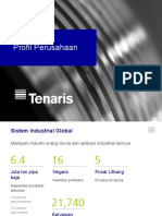 Tenaris_Presentation_bah
