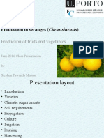 Production of Oranges (Citrus Sinensis)