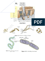 NCERT Diagrams PDF