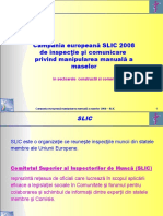 SLIC 2008 - Manipularea Maselor