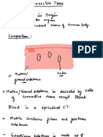 Lecture 3connective Tissue