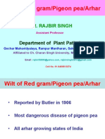 Wilt of Red Gram/pigeon Pea/arhar: Dr. Rajbir Singh