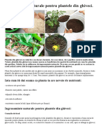Fertilizante - Plantele Din Ghiveci