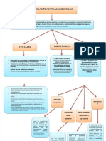 Mapa Conceptual Buenas Practicas Agricolas PDF