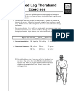 Seated Leg Theraband Exercises