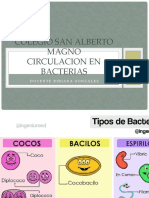 CIRCULACION EN BACTERIAS.pptx