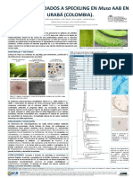 Identificación de hongos asociados al speckling en plátano mediante técnicas morfológicas y moleculares