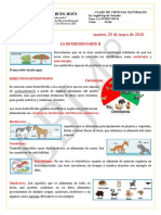 La Nutrición Parte Ii Cuarto 2020 C7G4