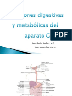 Funciones Digestivas y Metabólicas Del Aparat