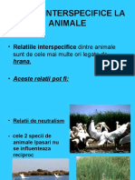 Relatii Interspecifice La Animale: - Relatiile Interspecifice Dintre Animale Sunt de Cele Mai Multe Ori Legate de