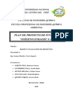 Plan de Proyecto de Inversion - Enkagec S.A.C.