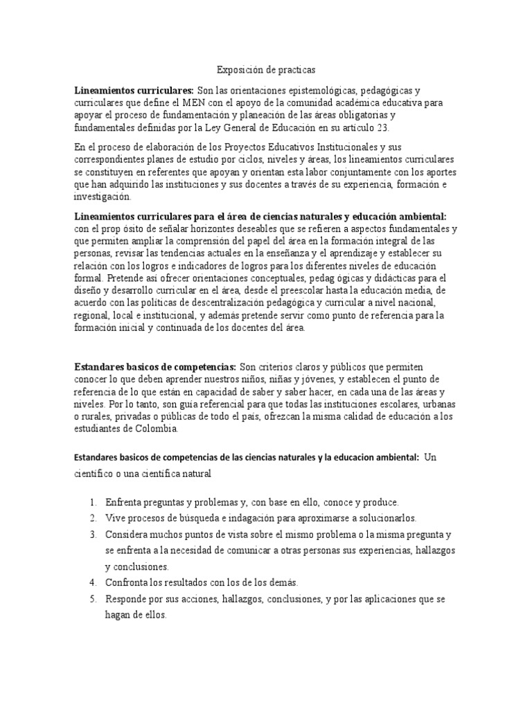 Lineamiento de Clases | PDF | Educación de la primera infancia | Evaluación