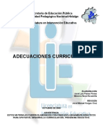 Adecuaciones Curriculares