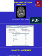 Copia de Sesion 22 USMP ANAT CEREBRAL PDF