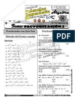 1588634391516187-14-1-Factorización 1 PDF