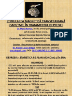 TMS PPT - 25 Slides - 11.06.2019 Romani PDF