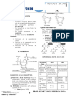 5 ACIDOS NUCLEICOS.docx