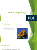 Hoa hướng dương 9a1