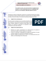 351108008-DIAGNOSTICO-SITUACIONAL-PTAR-Juliaca.pdf