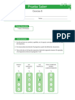 Respuestas - Prueba - Saber - 1