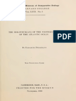 Deichmann 1930 PDF