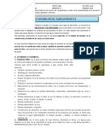 Economía del Tahuantinsuyo: agricultura, ganadería e intercambio