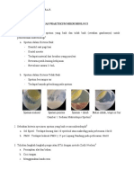 Annisa Dwi Magistra R. (I1011181063) - Tugas Praktikum Mikrobiologi PDF