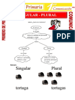 Singular y Plural para Primero de Primaria