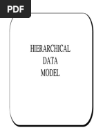 Hierarchical Data Model