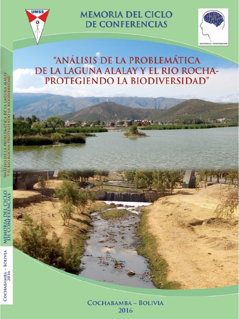 Analisis de La Problematica de La Laguna | PDF | Agua | Contaminación