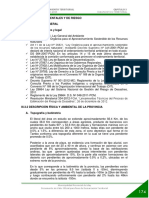 03c_AMBIENTAL Y DE RIESGOS PAT.pdf
