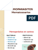 Hemoparasitos PDF