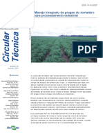 Tomate Embrapa.pdf