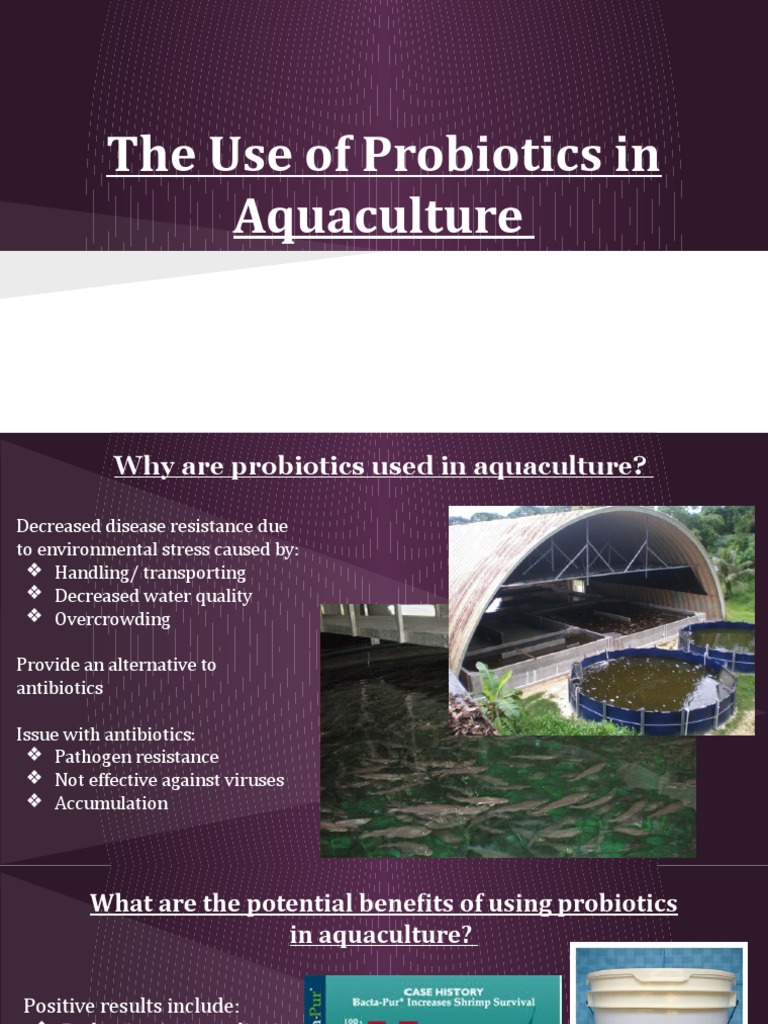 Types Of Probiotics In Aquaculture Pdf – NPWSVB
