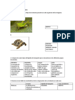 ACTIVIDADES PARA APRENDER 7 Grado