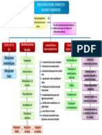 Mapa Insuficiencia Renal PDF