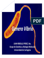 14 Vibrios.pdf