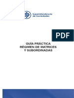 GUIA MATRICES super__sociedades (1).pdf