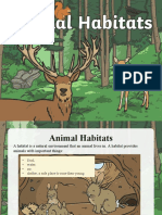 P2_Animals in their habitats.ppt