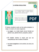 Ciencia 4°