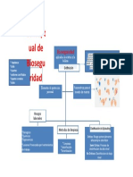 Mapa Conceptual Bioseguridad