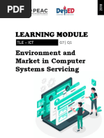 Learning Module: Environment and Market in Computer Systems Servicing