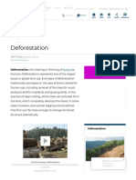 Deforestation - Definition & Facts PDF